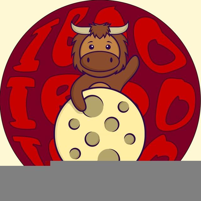 Iboo Bull Launches🐂