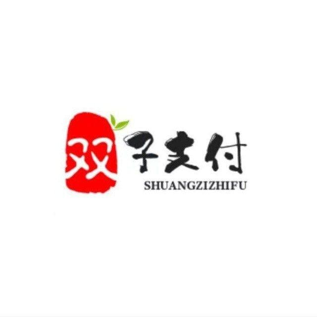 双子支付-新频道
