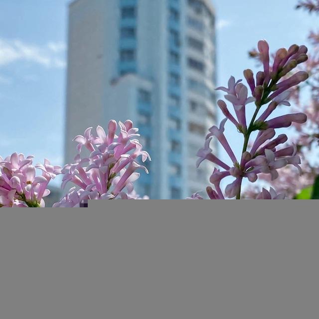 Горский мкр Ленинский район Новосибирск
