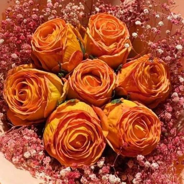 مَـاࢪشـميلّلوꫂ 🩷🍬.