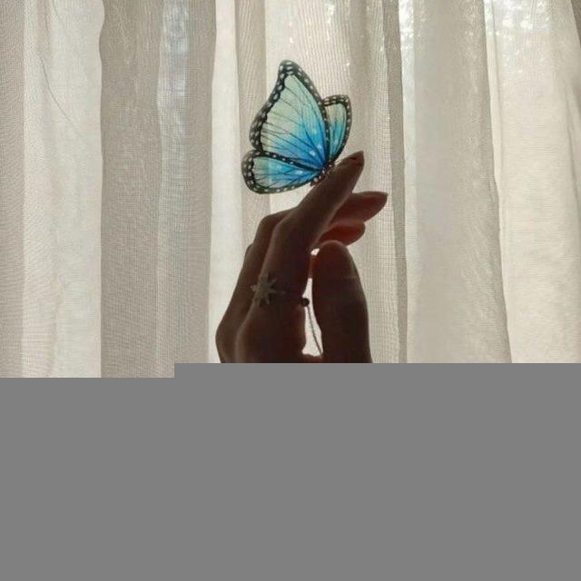 Butterfly 🦋