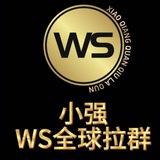 小强tg/ws协议拉群