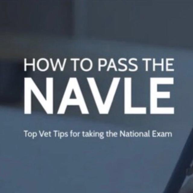 NAVLE / BCSE 🩺