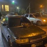 Стрипуха 40