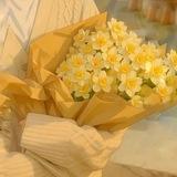 نَــرْجِـــسے"💛🌿