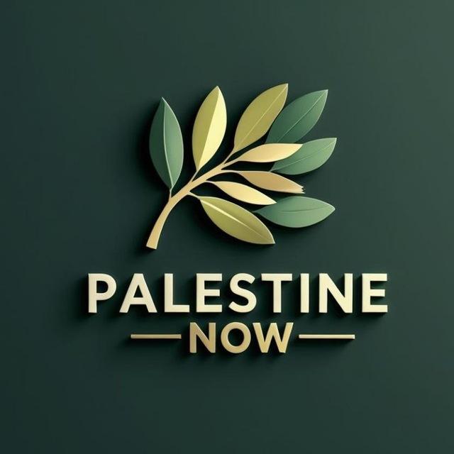 🔻PALESTINE NOW🔻