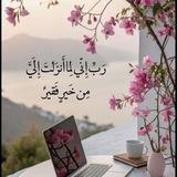 يَـِاربِّ وَفِّقْهَـِا🌷🤲🏻.