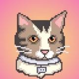 Booba Coin | RU