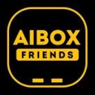 АIВОХ (Carlinkit, Ottocast, Playaibox, Ownice)