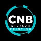 CheckMyninBvn