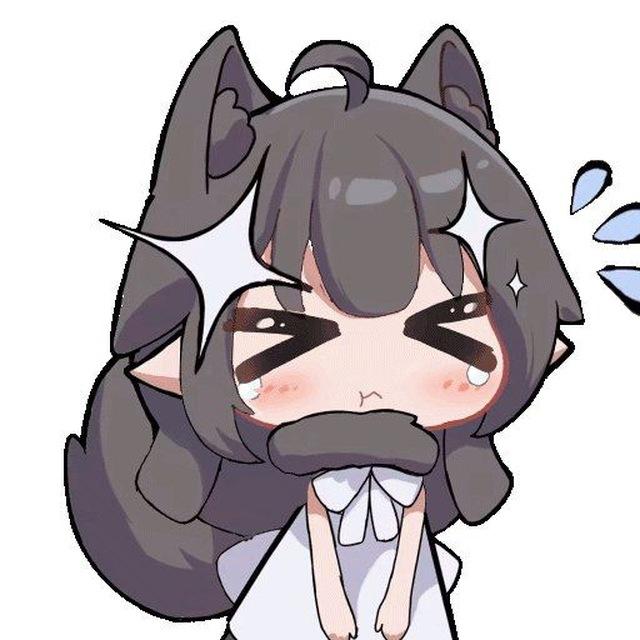 [图记]云游猫