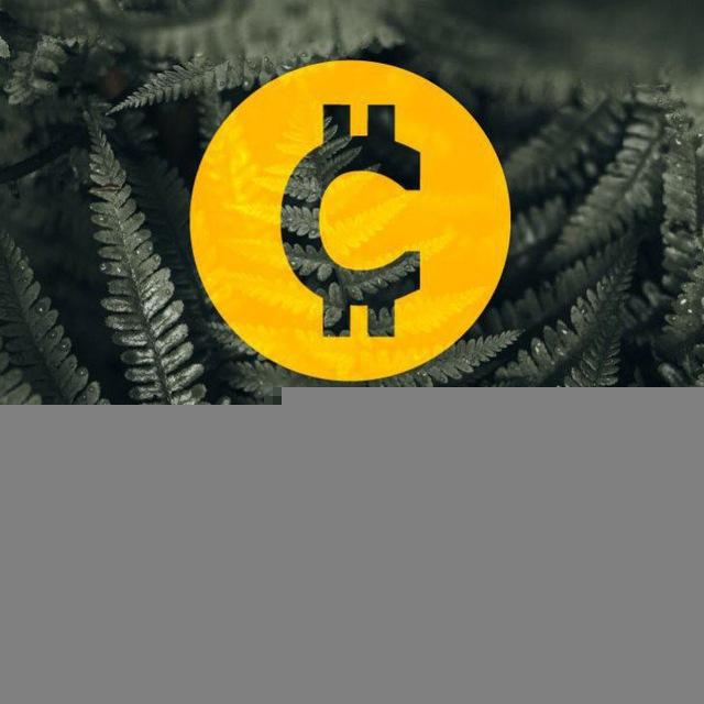 CRYPTO HUB