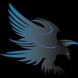 تعليم التداول الإحترافي 🦅