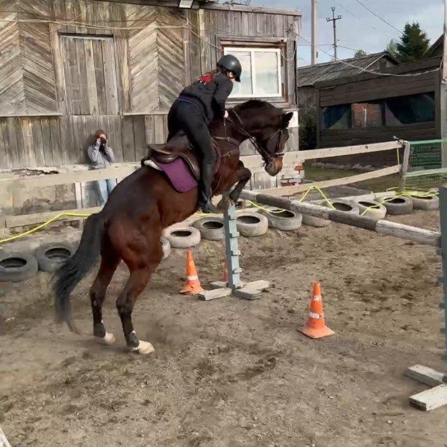 Настюха🐴💗