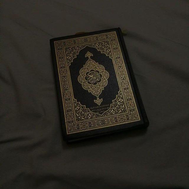 وَالْآخِرَةُ خَيْرٌ وَأَبْقَىٰ 🩵🕊"