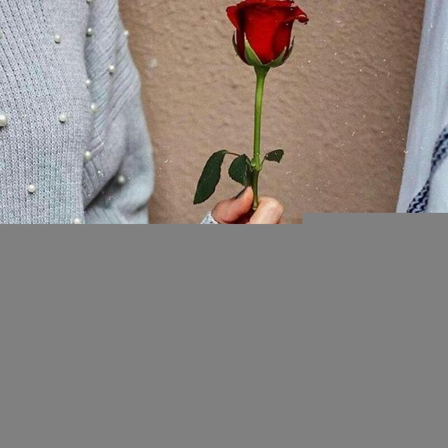🌸دلنوشته🌸 داستان رمان عاشقانه مذهبی شعر کوتاه مطالب عاشقانه دخترونه رمان رمان مذهبی شهدایی شعر نو شعر کوتاه عاشقانه متن احساسی
