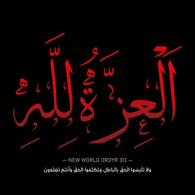 NEW WORLD ORDYR 313