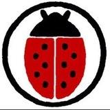 🐞 La vérité vous rendra libres ! 🐞