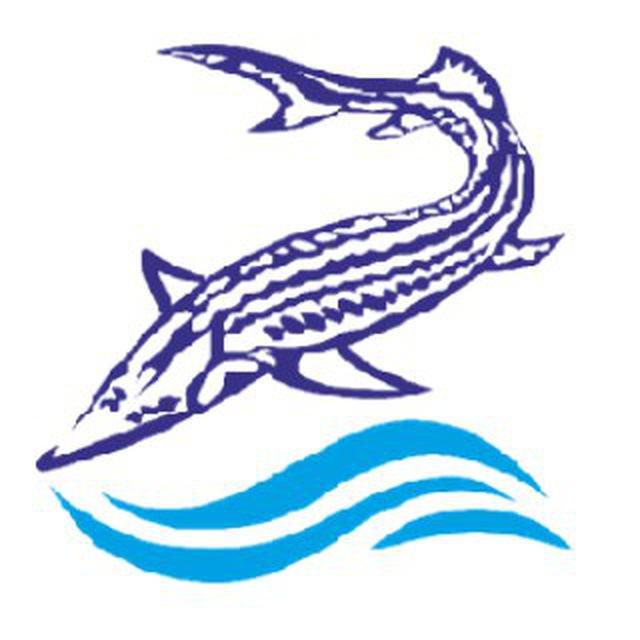 “O‘zbekbaliqsanoat” uyushmasi