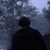 StvrRise