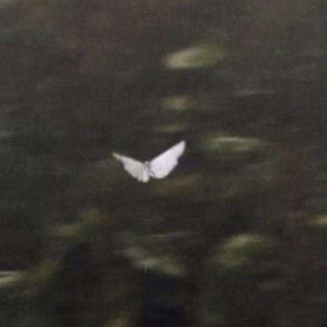 لِ قـمري