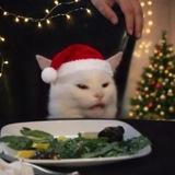 RegaLeakShit🎄