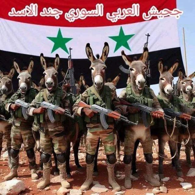 اصدارات خنازير النظام البائد وقنادر قسد