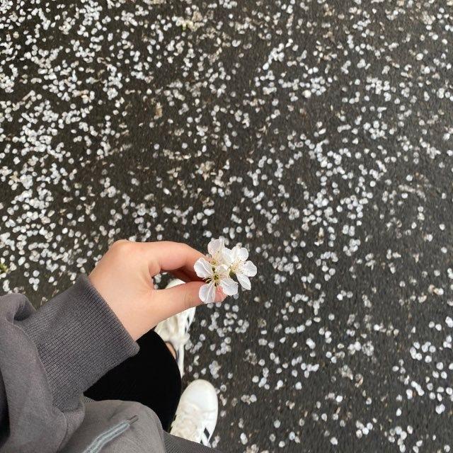 𝒮