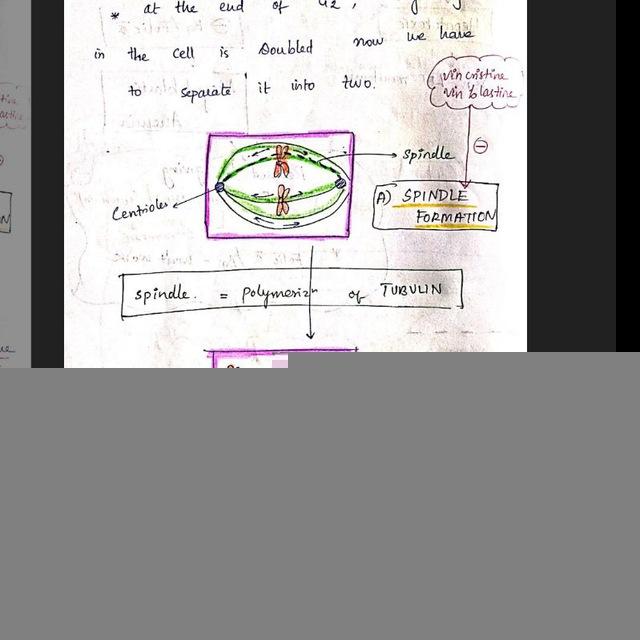 Pharmacology notes