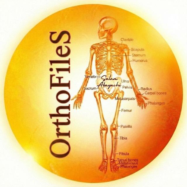 OʀᴛʜᴏFɪʟᴇS