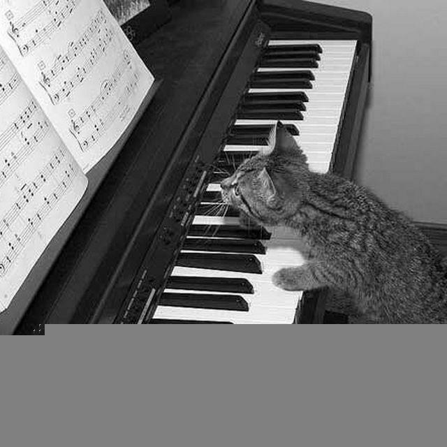 O'zbekiston fortepiano o'qituvchilari va konsertmeysterlari