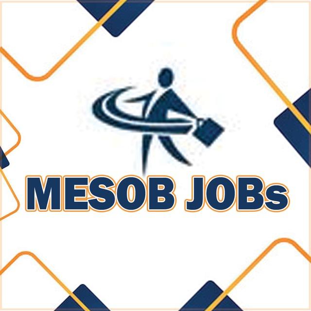 MESOB JOBS