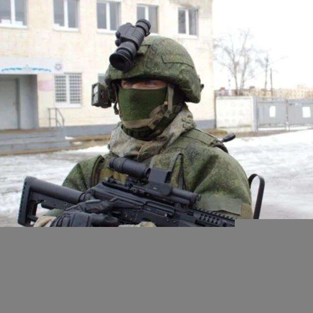Мы за сильную Россию