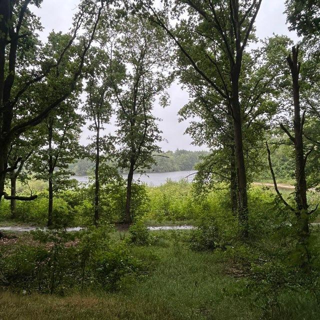 Rossochka