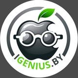 igenius.by