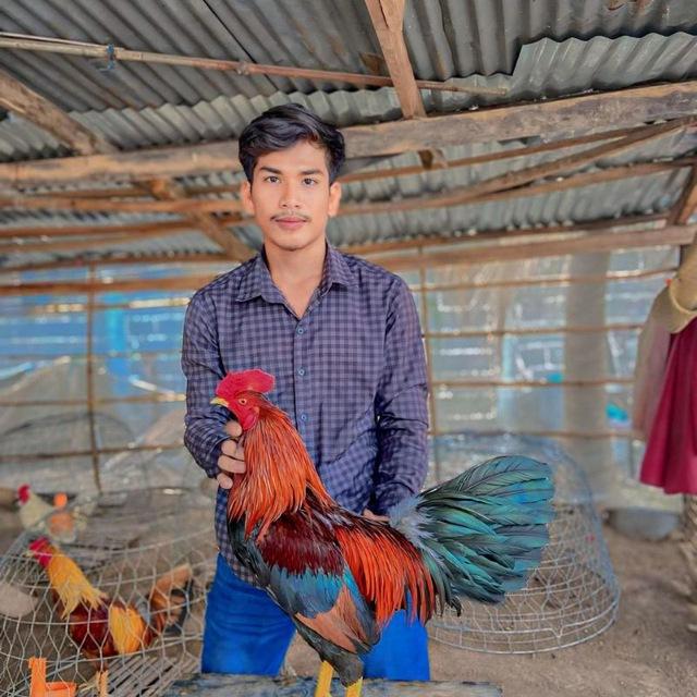 ទ្រុងបក្សីប្រយុទ្ធ Mrr.NoeurN🐓