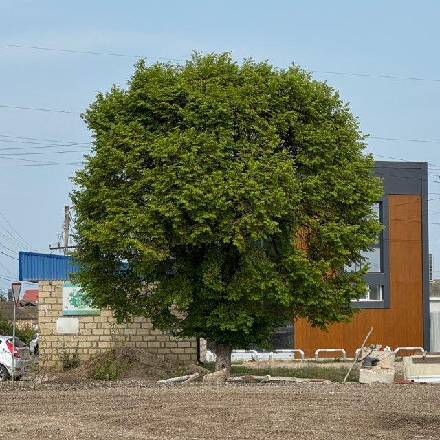 село Аглоби
