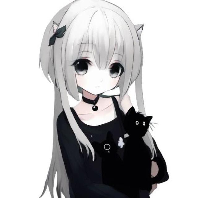 ₍ᐢ. .ᐢ₎