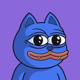 PatTheCatPortal