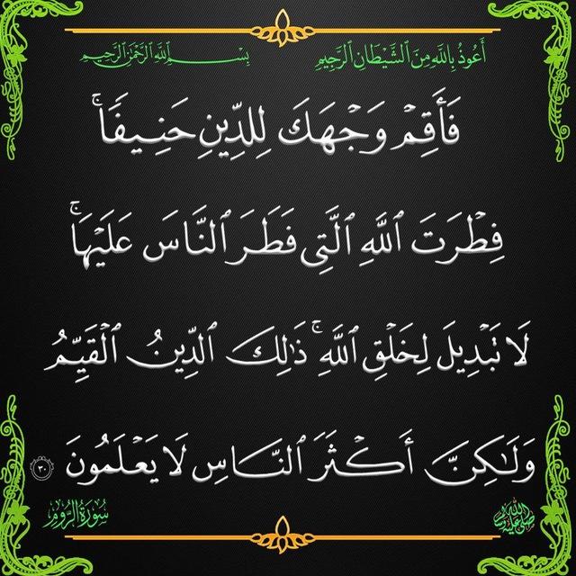 📣 قَناةُ الدِّينِ القَيِّم