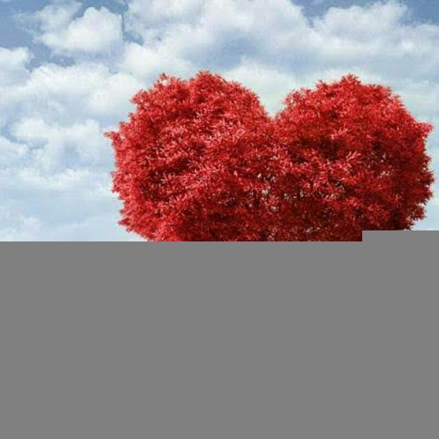 📝ʀєςɑитღ ∂ɑs ɨиsρɨʀɑçõєs ❤️