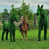 КСК АРАМИС 🐎