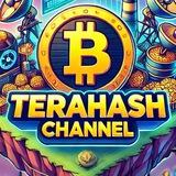 TeraHash Announcement