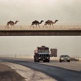 سَراب