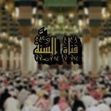 {قناة السُـنَّة}