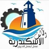 وظائف الاسكندرية