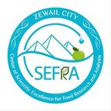 cSEFRA, Zewail City