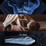 Свет Таухида (Light Of Tawheed)