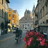 local in padova