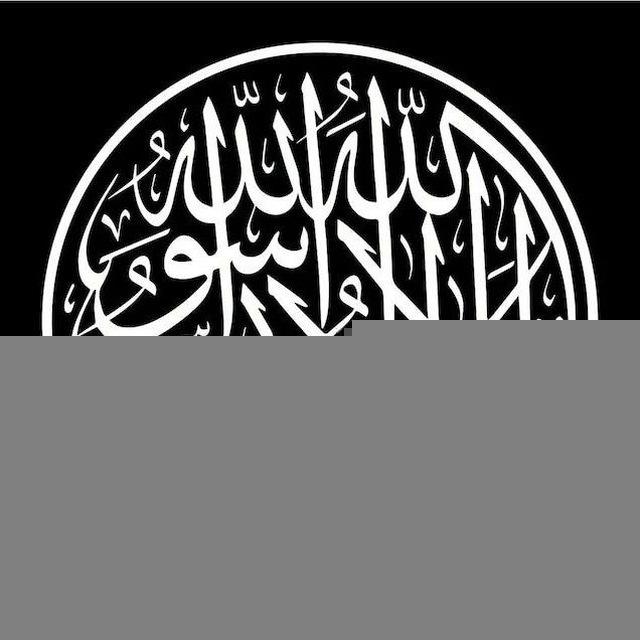 مجموعة من السلفيين